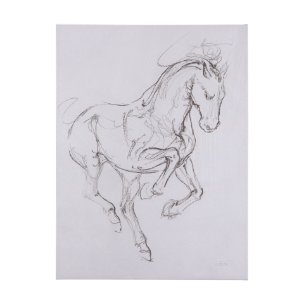 Horse I by Mercana Studio a Hand Embellished Textured Canvas