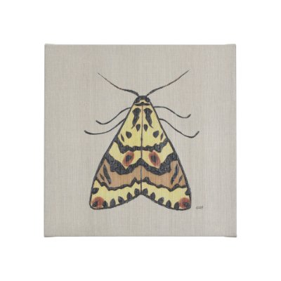 102219-S - Moth III by Mercana Studio a Hand Embellished Textured Canvas
