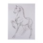 102227-L - Horse II by Mercana Studio a Hand Embellished Textured Canvas