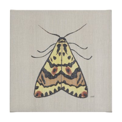 102219-L - Moth III by Mercana Studio a Hand Embellished Textured Canvas