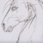 102227-L - Horse II by Mercana Studio a Hand Embellished Textured Canvas