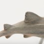 Picture of 57324 - Willa Small Whale Shark sculpture