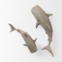 Picture of 57325 - Willa Large Wall Mountable Whale Shark Sculpture