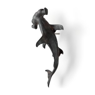 Picture of 57422 - Acus 24H Large Hammer Head Shark Wall Decor