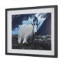 Picture of 14363 - Mountain Goat