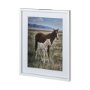 12570 - Horse 6 by Dunker a Framed Photo Art Print Matted under Glass