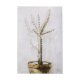 102321-L - Cactus I by Mercana Studio a Hand Embellished Textured Canvas