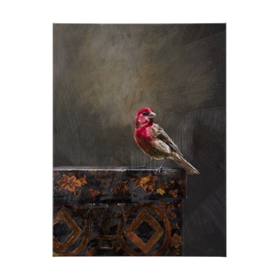 102344-L - Graceful Poise I (House Finch)(42 x 56)