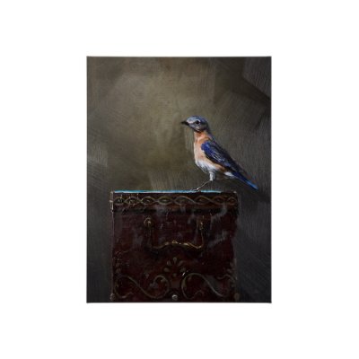 102345-S - Graceful Poise II  (Eastern Bluebird)(30 x 40)