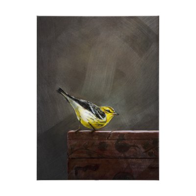 102347-L - Graceful Poise III  (Bay-Breasted Warbler)(42 x 56)