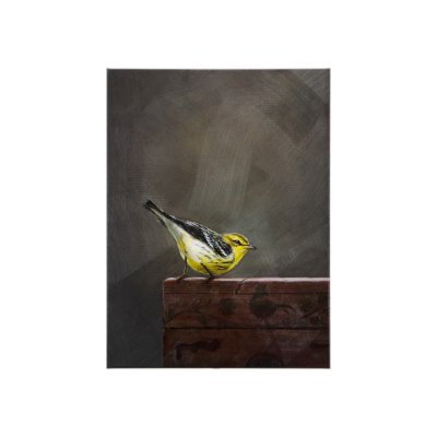 102347-S - Graceful Poise IV  (Blackburnian Warbler)(30 x 40)