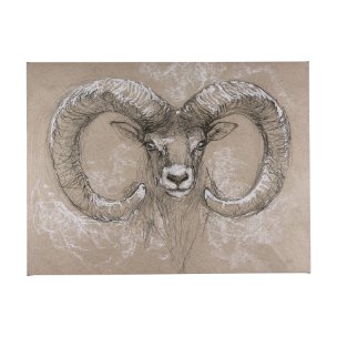 Sketch of animal I (Wild sheep) by Mercana Studio a Hand Embellished Textured Canvas