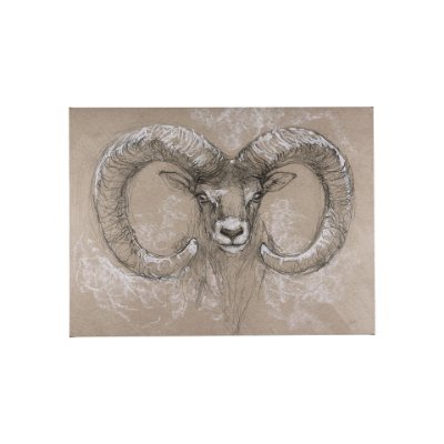 102350-S - Sketch of animal I (Wild sheep) by Mercana Studio a Hand Embellished Textured Canvas
