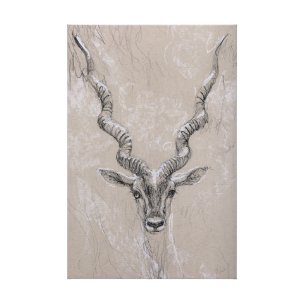 Sketch of animal III (Antelope) by Mercana Studio a Hand Embellished Textured Canvas