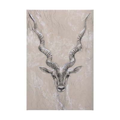 102352-L - Sketch of animal III (Antelope) by Mercana Studio a Hand Embellished Textured Canvas