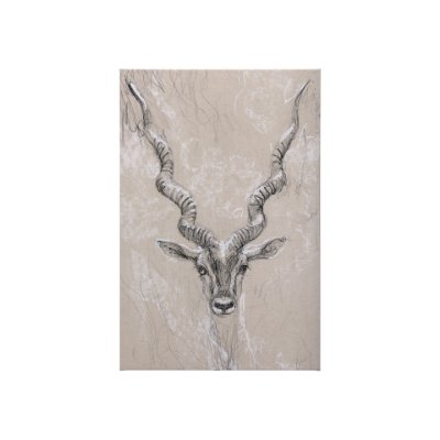 102352-S - Sketch of animal III (Antelope) by Mercana Studio a Hand Embellished Textured Canvas