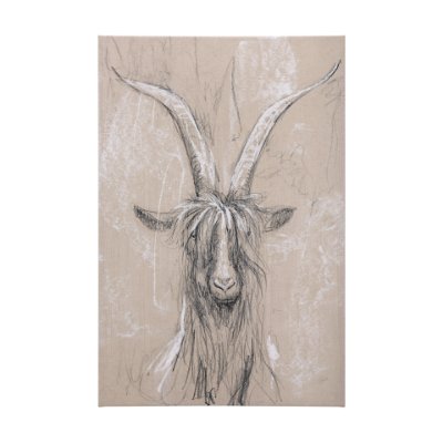 102354-L - Sketch of animal V (Goat) by Mercana Studio a Hand Embellished Textured Canvas