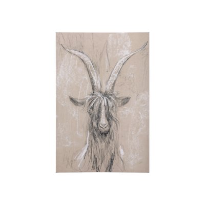 102354-S - Sketch of animal V (Goat) by Mercana Studio a Hand Embellished Textured Canvas