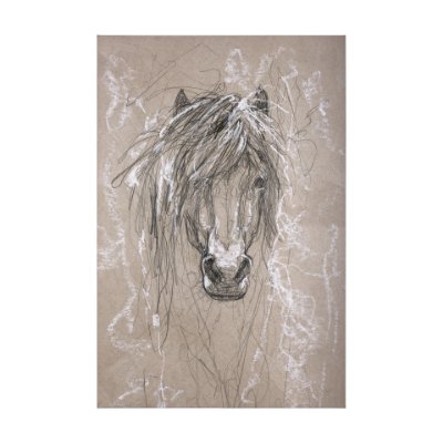 102355-L - Sketch of animal VI (Pony) by Mercana Studio a Hand Embellished Textured Canvas