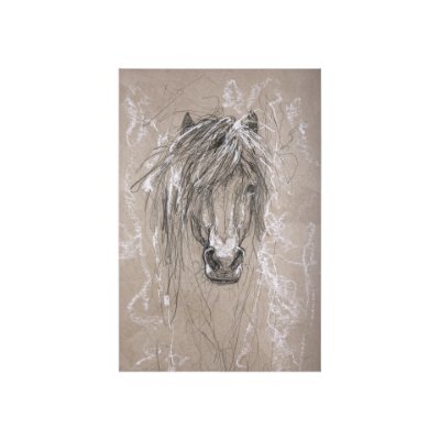 102355-S - Sketch of animal VI (Pony) by Mercana Studio a Hand Embellished Textured Canvas