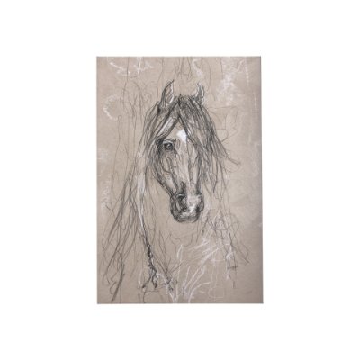 102356-S - Sketch of animal VII (Horse) by Mercana Studio a Hand Embellished Textured Canvas