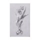 102371-L - Botanical sketches I (Grey) by Mercana Studio a Hand Embellished Textured Canvas
