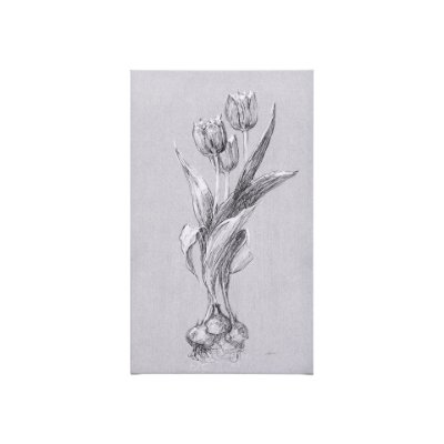 102371-S - Botanical sketches I (Grey) by Mercana Studio a Hand Embellished Textured Canvas