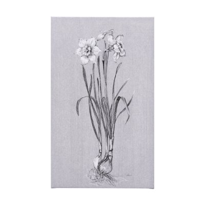 102372-L - Botanical sketches II (Grey) by Mercana Studio a Hand Embellished Textured Canvas