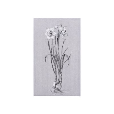 102372-S - Botanical sketches II (Grey) by Mercana Studio a Hand Embellished Textured Canvas