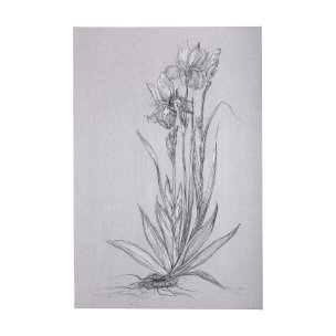 Botanical sketches IV (Grey) by Mercana Studio a Hand Embellished Textured Canvas