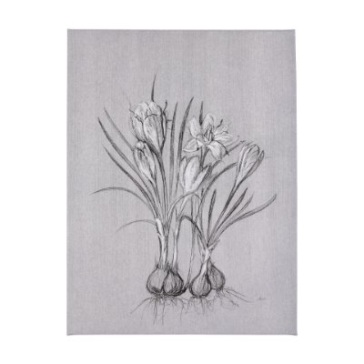 102375-L - Botanical sketches V (Grey) by Mercana Studio a Hand Embellished Textured Canvas