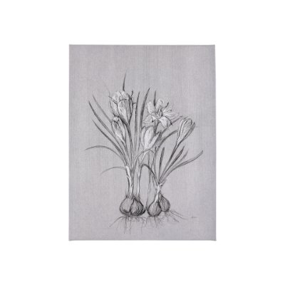 102375-S - Botanical sketches V (Grey) by Mercana Studio a Hand Embellished Textured Canvas