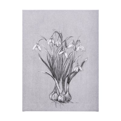 102376-L - Botanical sketches VI (Grey) by Mercana Studio a Hand Embellished Textured Canvas