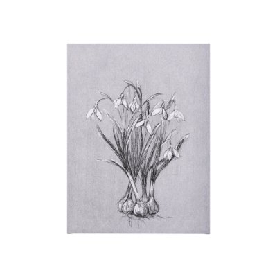 102376-S - Botanical sketches VI (Grey) by Mercana Studio a Hand Embellished Textured Canvas