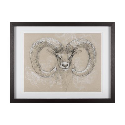 14480 - Sketch of animal I (Wild sheep) Mercana Studio Hand Embellished Framed Art Print Matted under Glass