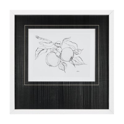 14490 - Fruit Sketch Apple by Mercana Studio a Hand Embellished Textured Framed Art Print Matted under Glass