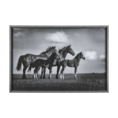 14545 - Focused by Mercana Studio a Hand Embellished Textured Framed Photo Art Print Matted under Glass