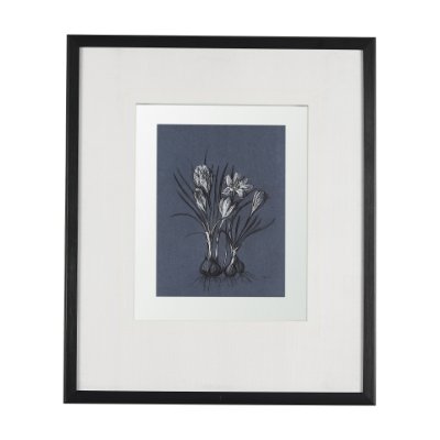 14573 - Botanical sketches V (Blue) by Mercana Studio Hand Embellished Framed Art Print Matted under Glass