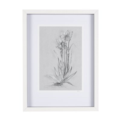 14589 - Botanical sketches IV (Grey) by Mercana Studio Hand Embellished Framed Art Print Matted under Glass