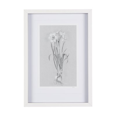 14593 - Botanical sketches II (Grey) by Mercana Studio Hand Embellished Framed Art Print Matted under Glass