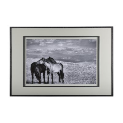 14636 - Babies on Board by Mercana Studio a Framed Photo Art Print Matted under Glass