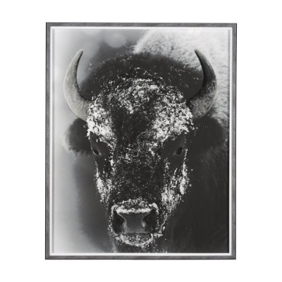 14776 - Snow Mask by Mercana Studio a Hand Embellished Textured Framed Photo Art Print Matted under Glass
