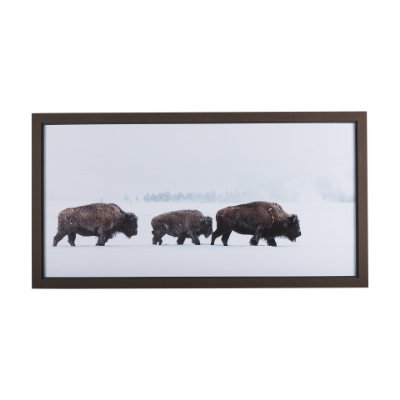 14778 - Frozen Trek by Mercana Studio a Hand Embellished Textured Framed Photo Art Print Matted under Glass