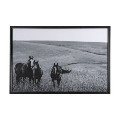 14903 - Montana Moves by Mercana Studio a Framed Photo Art Print Matted under Glass