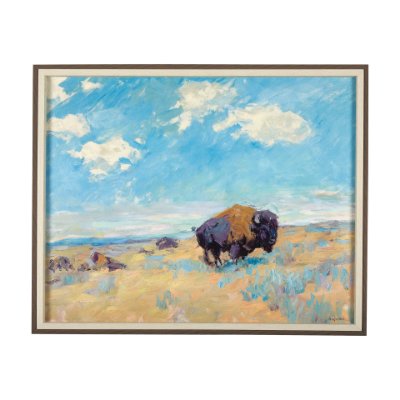 14938 - Buffalo by Mercana Studio a Hand Embellished Textured Framed Art Photograph