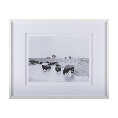 14940 - Buffalo Brook by Mercana Studio a Hand Embellished Textured Framed Art Photograph Matted under Glass
