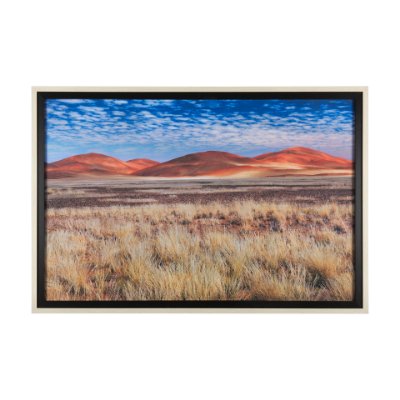 14943 - Bold Adventure by Mercana Studio a Hand Embellished Textured Framed Art Photo Matted under Glass