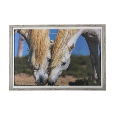 14946 - Nuzzled Together by Mercana Studio a Hand Embellished Textured Framed Art Photo Matted under Glass