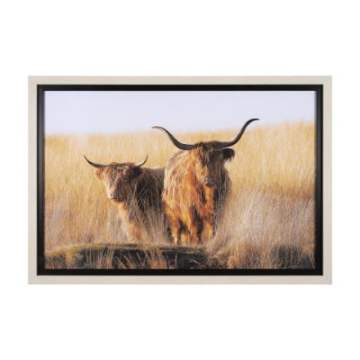15017 - Young and Old Highlander by Mercana Studio Hand Embellished Framed Photo Art Print Matted under Glas