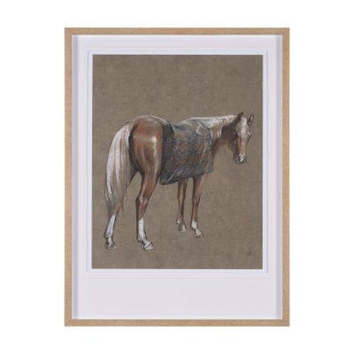 15149 - Palomino Blanket by Mercana Studio a Hand Embellished Textured Framed Art Print